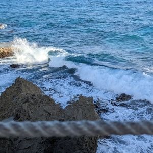 Meet your Posher, Sophie